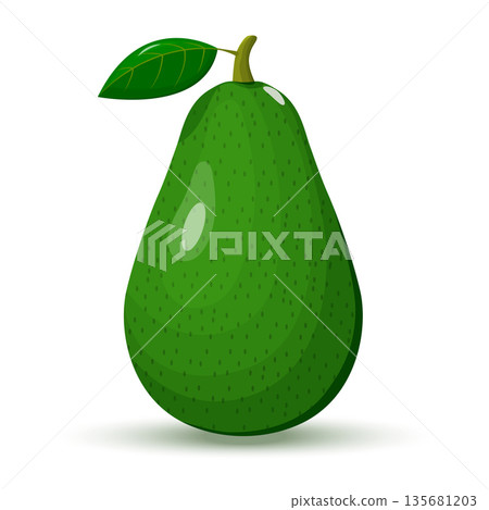 Whole avocado with leaf isolated on white background. Vector illustration. Flat design Whole avocado with leaf isolated on white background. Vector illustration. Flat design 135681203