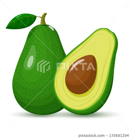 Avocado whole and half. Green avocado with seed. Fruit isolated on a white background. Flat design. vector illustration 135681204