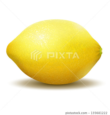 Lemon. Realistic vector illustration of a lemon on white background Lemon. Realistic vector illustration of a lemon on white background 135681222