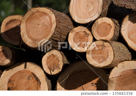 Stacked log Stacked log 135681356