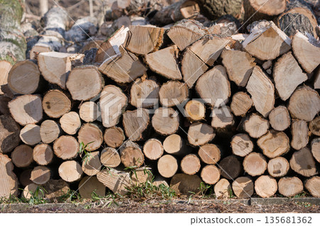 Stacked firewood Stacked firewood 135681362