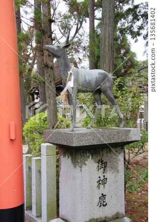 Tachiki Shrine, a famous cherry blossom spot in Kusatsu City, Shiga Prefecture Tachiki Shrine, a famous cherry blossom spot in Kusatsu City, Shiga Prefecture 135681402