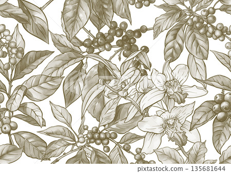 Coffee and vanilla botanical pattern Coffee and vanilla botanical pattern 135681644
