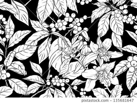 Coffee and vanilla botanical pattern. 135681647