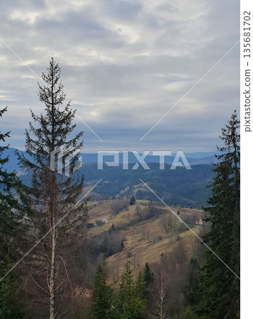 Atmospheric mountain landscape of the Carpathians with tall fir trees in the foreground. The cloudy sky Atmospheric mountain landscape of the Carpathians with tall fir trees in the foreground. The cloudy sky 135681702
