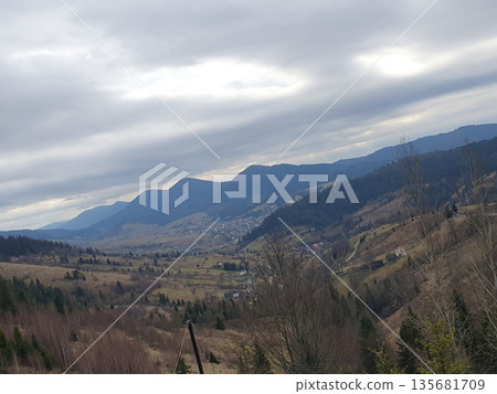 Mountain landscape of the Carpathians with tall fir trees in the foreground. Greek ridges and a calm valley opening below 135681709