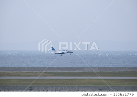藍色脈衝號飛機降落在那霸機場 藍色脈衝號飛機降落在那霸機場 135681779