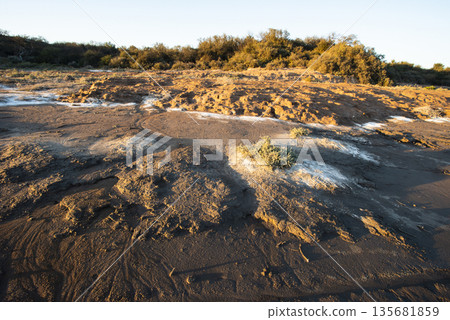 Semi desert environment landcape, La Pampa province, Patagonia, Argentina. Semi desert environment landcape, La Pampa province, Patagonia, Argentina. 135681859
