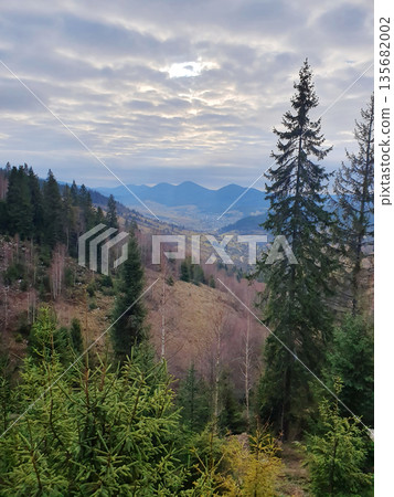 A peaceful mountain slope in the Carpathians with a mosaic of coniferous and deciduous trees A peaceful mountain slope in the Carpathians with a mosaic of coniferous and deciduous trees 135682002