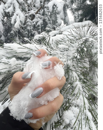 A woman's hand with a stylish winter manicure holds loose white snow on a snowy street background A woman's hand with a stylish winter manicure holds loose white snow on a snowy street background 135682033