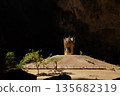 Phraya Nakhon Cave is located in Khao Sam Roi Yot National Park in Prachuap Khiri Khan Province in southern Thailand. Sunlight illuminates the temple.Phraya Nakhon Cave Temple. 135682319