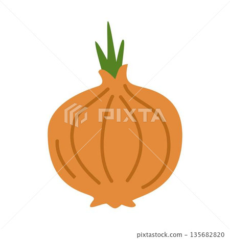 Fresh Brown Onion with Green Sprouts, vegetable 135682820
