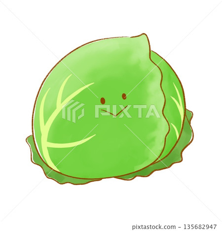 微笑綠色蔬菜 | 高麗菜 135682947
