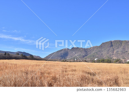 九重長者原、莆原濕原、冬季風景、阿蘇九重國立公園 135682983