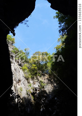 Blue sky and green plants visible from the cave.View of the sky from the cave. 135683018