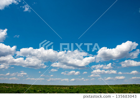 春天的草地和藍天 135683043