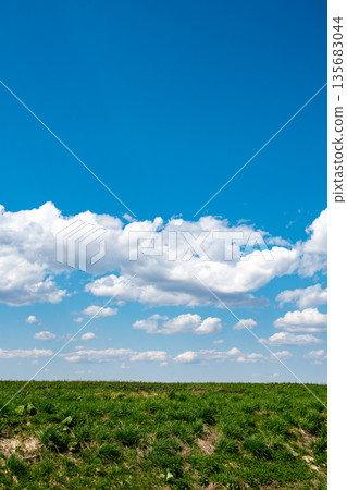 Spring meadows and blue sky 135683044