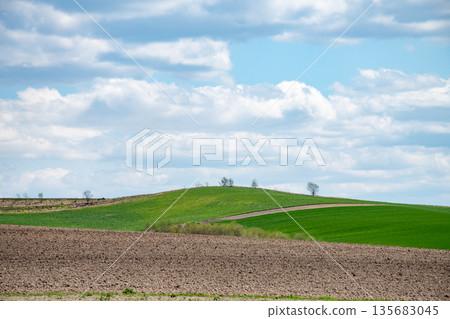 春意盎然的丘陵農田與蔚藍的天空 135683045
