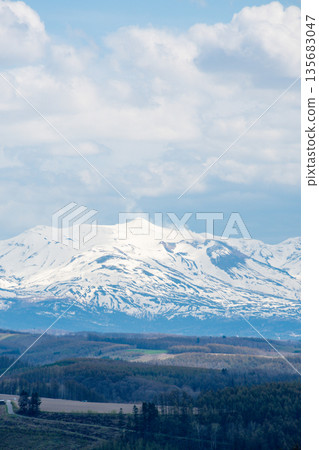 春暖花開的山丘和十勝山的皚皚雪峰 135683047