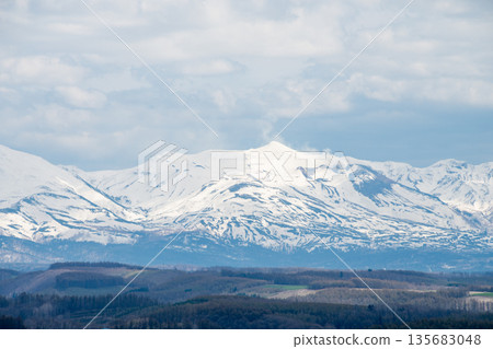 春暖花開的山丘和十勝山的皚皚雪峰 135683048