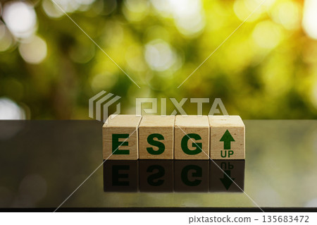 ESG Principles on the Rise Environmental, Social, and Governance Growth. Business and Environmental Growth Concept. Nature and Business Concept. High quality photo 135683472