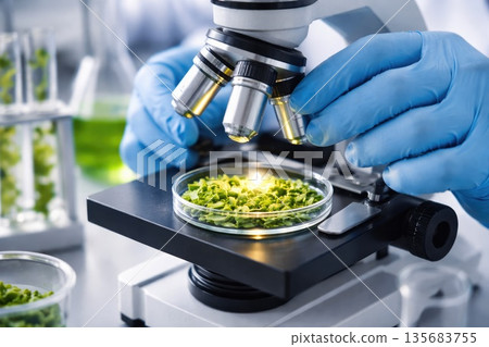 Scientific Research on Green Plant Samples Using Microscope in Modern Laboratory 135683755