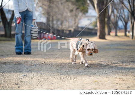 一個女人遛狗 一個女人遛狗 135684157