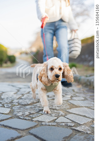 一個女人遛狗 135684160