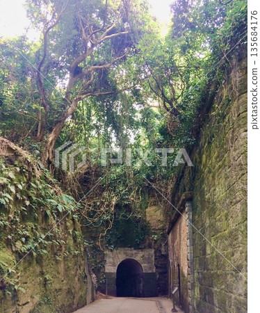 神秘的、宛如拉普達般的隧道入口,猿島要塞遺址 神秘的、宛如拉普達般的隧道入口,猿島要塞遺址 135684176