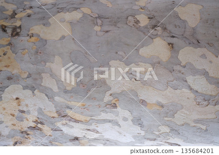 Beautiful textures of aged concrete revealing nature's artistic touch in a tranquil indoor space with soft lighting 135684201