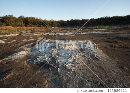 Semi desert environment landcape, La Pampa province, Patagonia, Argentina. Semi desert environment landcape, La Pampa province, Patagonia, Argentina. 135684311
