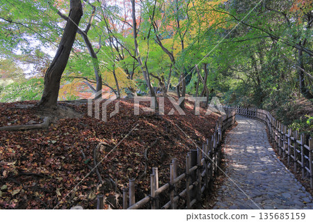 深秋時節的栗林庭園,楓樹岸步道 深秋時節的栗林庭園,楓樹岸步道 135685159