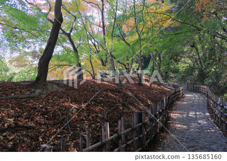 Ritsurin Garden in late autumn, Maple Bank Walkway 135685160