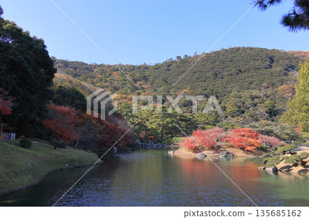 栗林花園南湖的深秋，楓岸和楓島上的樹葉漸漸凋零。 135685162