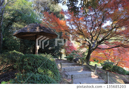 Autumn leaves at Pillow Tei in the north garden of Ritsurin Garden 135685203