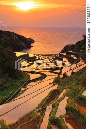 【石川縣】濱之浦梯田的夜景 【石川縣】濱之浦梯田的夜景 135685214