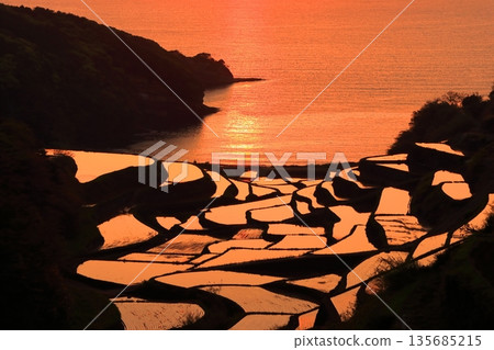 [Saga Prefecture] Evening view of Hamanoura rice terraces 135685215