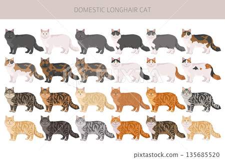 Domestic longthair Cat clipart. All coat colors set. Domestic longthair Cat clipart. All coat colors set. 135685520