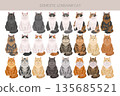 Domestic longthair Cat clipart. All coat colors set. 135685521