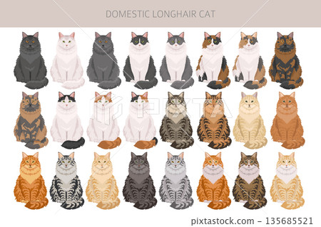 Domestic longthair Cat clipart. All coat colors set. Domestic longthair Cat clipart. All coat colors set. 135685521