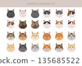 Domestic longthair Cat clipart. All coat colors set. 135685522