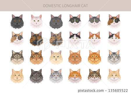 Domestic longthair Cat clipart. All coat colors set. 135685522