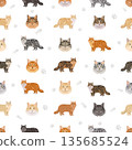 Domestic longthair Cat clipart. All coat colors set. 135685524