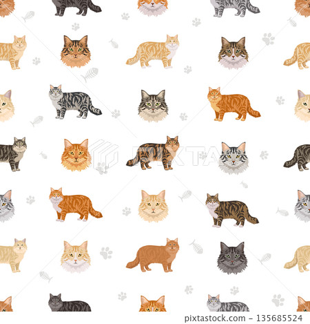 Domestic longthair Cat clipart. All coat colors set. Domestic longthair Cat clipart. All coat colors set. 135685524
