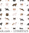 Domestic longthair Cat clipart. All coat colors set. 135685525