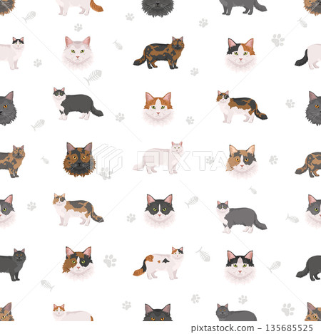 Domestic longthair Cat clipart. All coat colors set. Domestic longthair Cat clipart. All coat colors set. 135685525