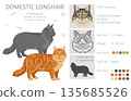 Domestic longthair Cat clipart. All coat colors set. 135685526