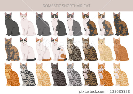 Domestic shorthair Cat clipart. All coat colors set Domestic shorthair Cat clipart. All coat colors set 135685528