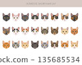 Domestic shorthair Cat clipart. All coat colors set 135685534