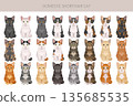 Domestic shorthair Cat clipart. All coat colors set 135685535